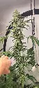 IMG-20250725-WA0006.webp